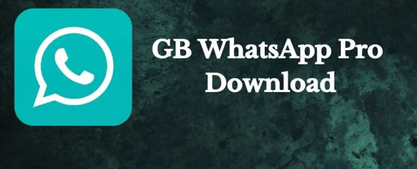 GB WhatsApp Pro Download: Advantages Over the Standard Version